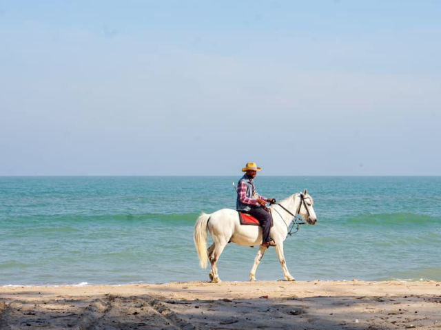 Springfield @ Sea Resort and Spa ที่พักติดทะเลชำอำ