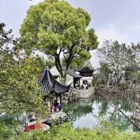 Roaring Beauty: Exploring Lion Grove Garden