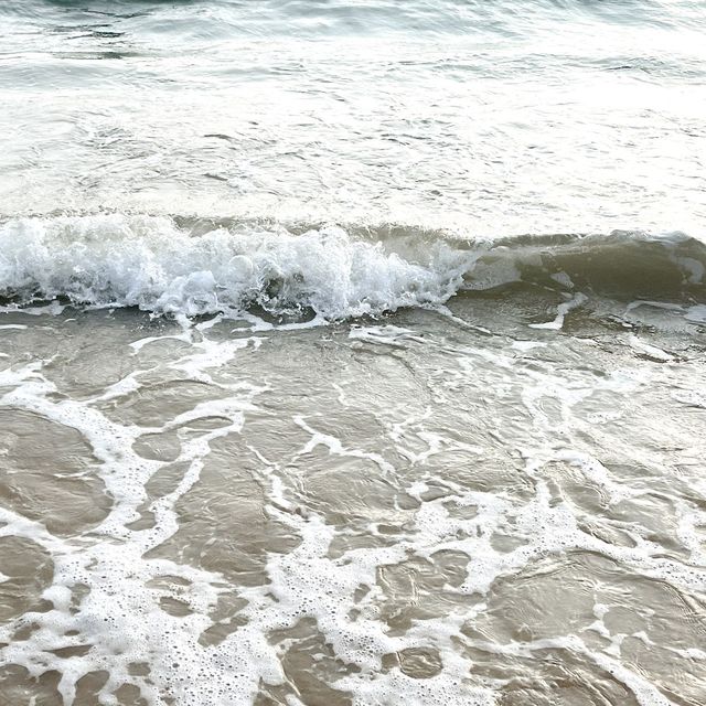해질녘 윤슬이 특히 예쁜 충청도 대표 바다 🌊