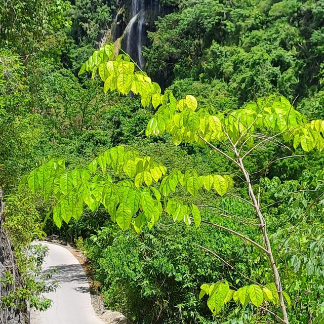 Cebu’s most spectacular natural Waterfall!