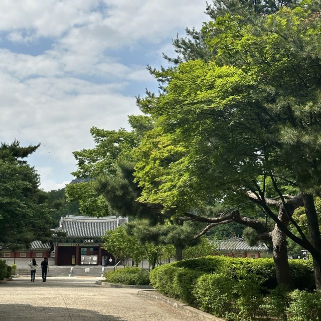 날 좋은 날 산책하기 좋은 정동길🚶🏻‍♀️