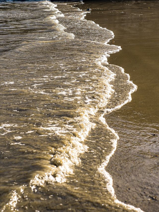 香港 | 夏日海灘🏖 水清沙幼的港版馬兒代夫