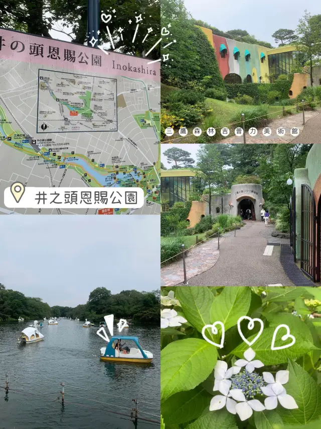 井之頭恩賜公園‼️吉祥寺5分鐘距離🤫市區必去😌