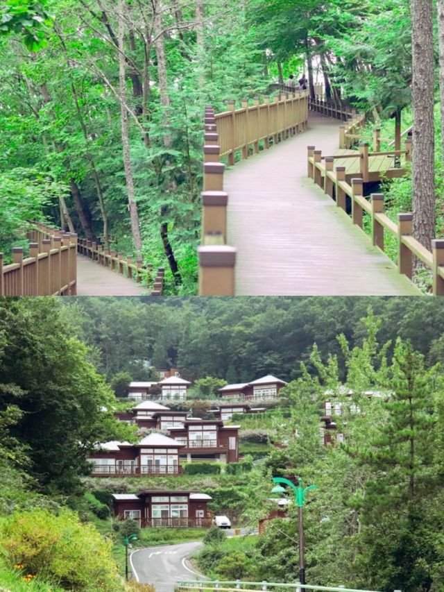 액티비티까지 즐기는 산속캠핑 “제암산자연휴양림🌳”