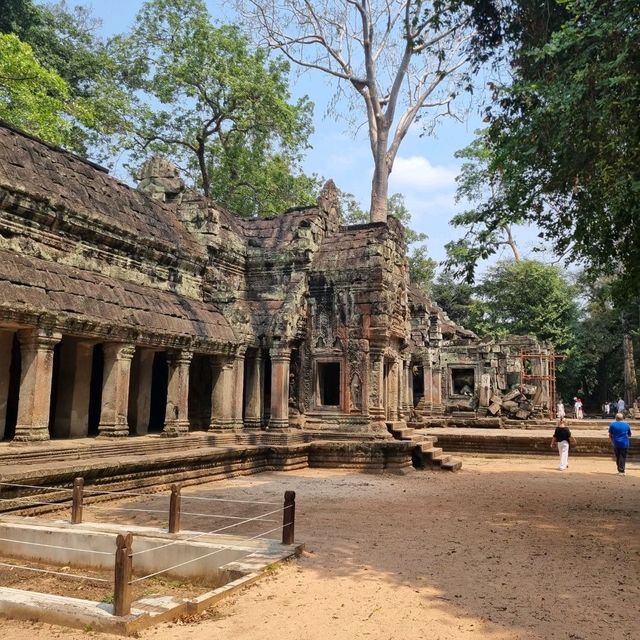 Ancient Temple - TaProhm Temple 