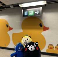 四遇鴨鴨Rubber Duck🤣
