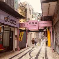 ARRAIAL NA ERVANÁRIOS PRESENTS 3D CAT VIDEOS