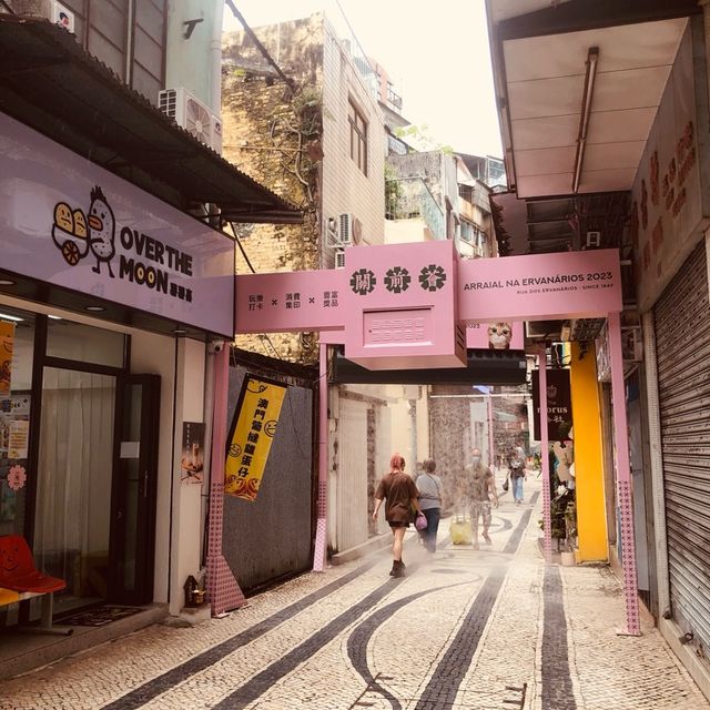 ARRAIAL NA ERVANÁRIOS PRESENTS 3D CAT VIDEOS