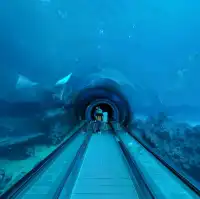 海洋生態教育博物館🎓💕
