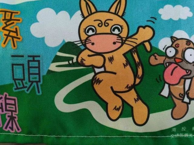 絕美仙境-溪頭杉林溪