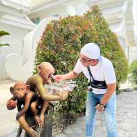 วัดร่องขุ่น 