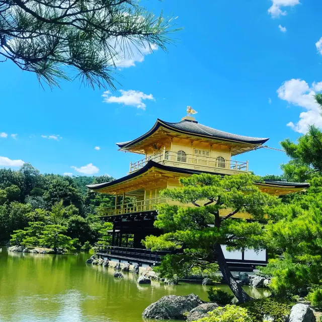 Kinkakuji Temple หรือวัดทองในเกียวโต สวยสง่างาม