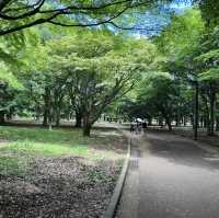 代々木公園