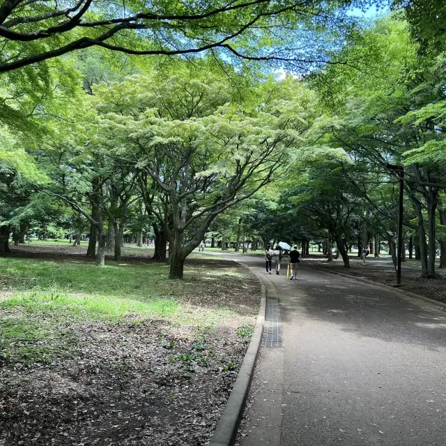 代々木公園