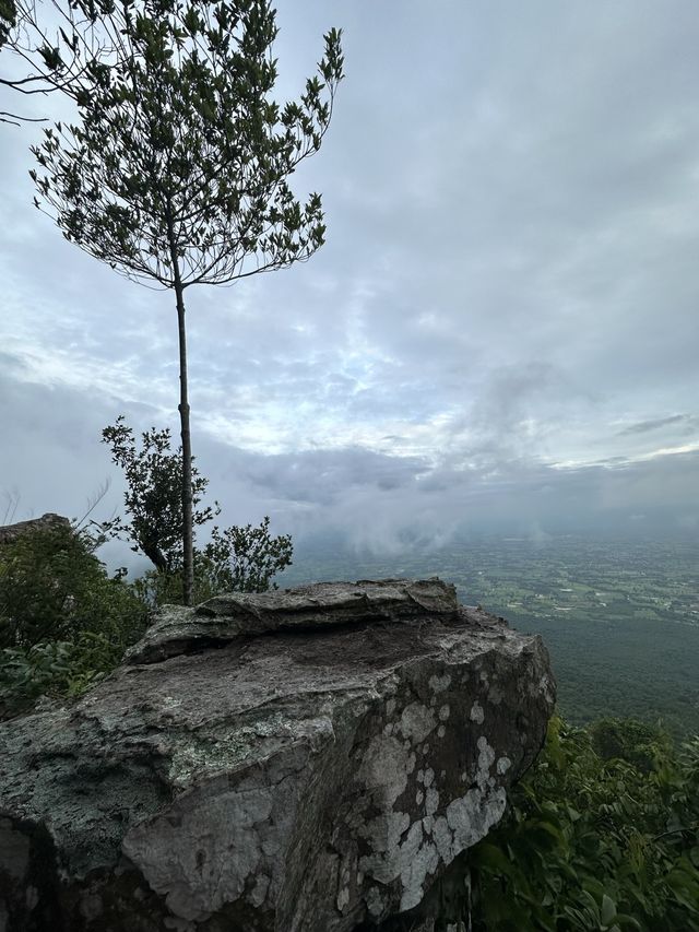 “ฮ่มหมอก บอกฮัก”อุทยานแห่งชาติภูแลนคา🌫️