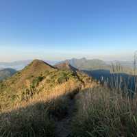 香港🇭🇰 ｜周末行山訪芒草海🌾 - 黃牛山⛰️