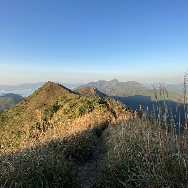 香港🇭🇰 ｜周末行山訪芒草海🌾 - 黃牛山⛰️