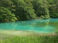 Goshiki-numa pond 🇯🇵💦🦋