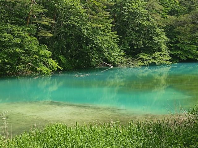 Goshiki-numa pond 🇯🇵💦🦋