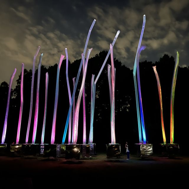 【超幻想的✨】大阪の自然アートが楽しめる癒しスポット！