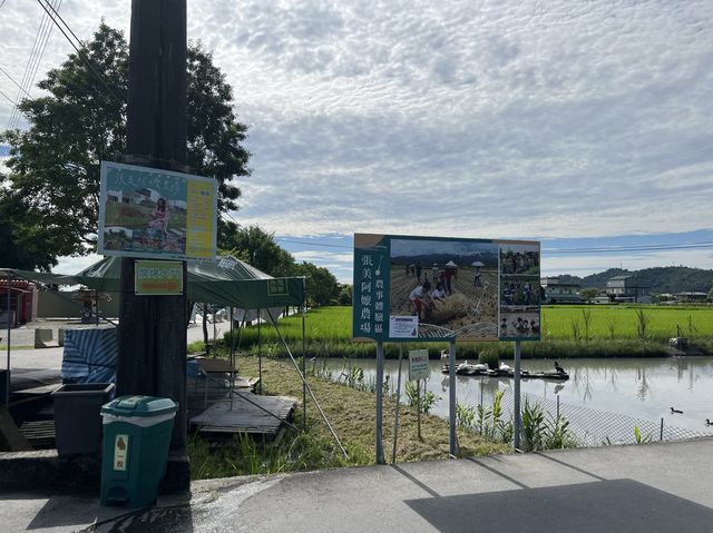 張美阿嬤農場，充滿童趣的景點，還可以看到水豚君在泡澡