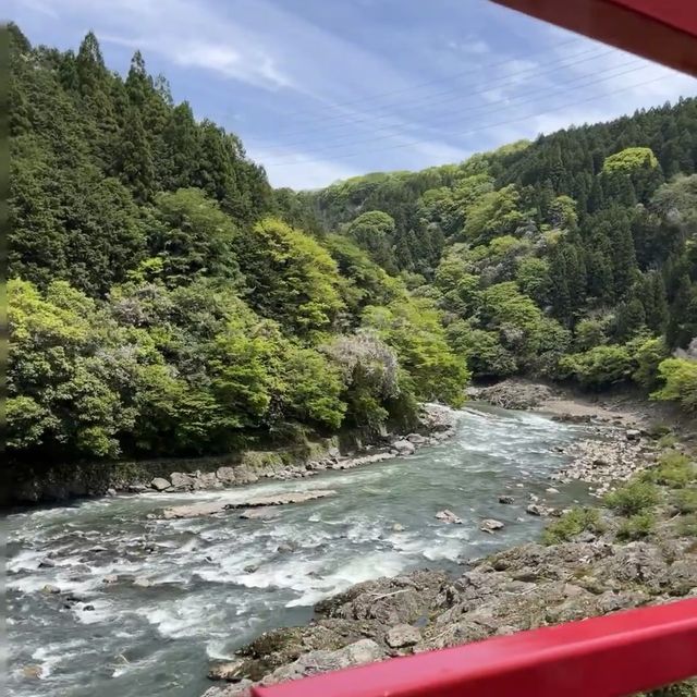 嵐山小火車：穿越童話世界！🚂🌸🌳
