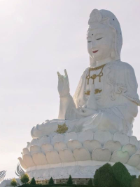 Wat Huay Pla Kang Chiang Rai 