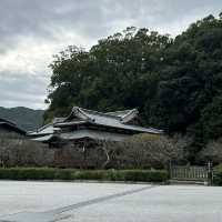 Dazaifu Tenmangu - Fukuoka