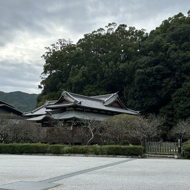 Dazaifu Tenmangu - Fukuoka