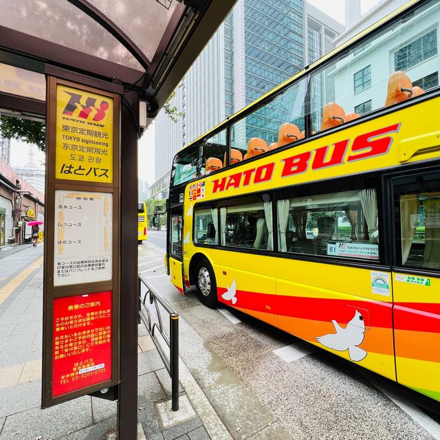 🇯🇵 Open top sightseeing bus