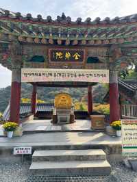 양평 가볼만한곳 용문사 천년 은행나무