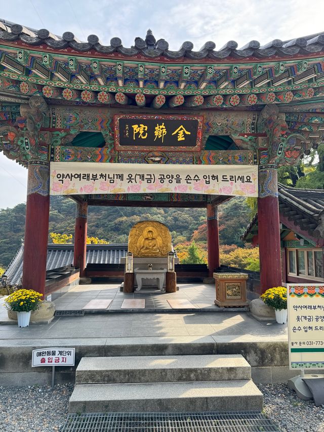 양평 가볼만한곳 용문사 천년 은행나무