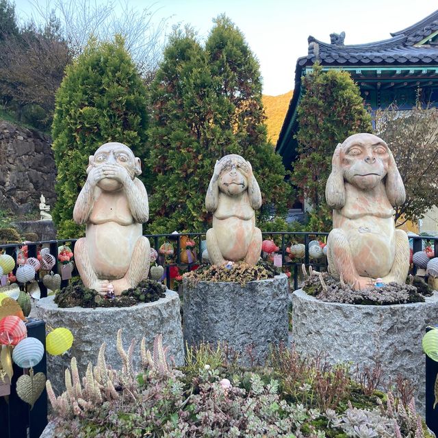독특하고 이국적인 사찰, 용인 와우정사