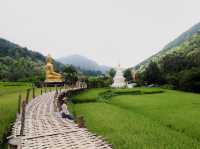สักการะพระเจ้าต๋นหลวงกลางทุ่งนา @วัดนาคูหา จ.แพร่