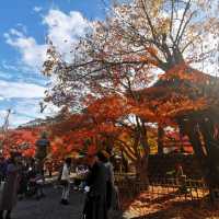 autumn vibes at Shuzenji Temple