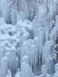 冬の風物詩－氷瀑