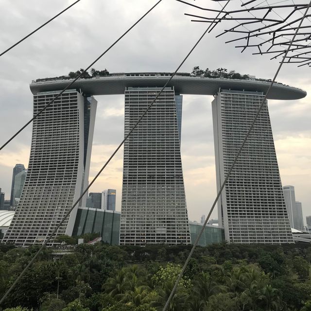 🌳新加坡的空中花園🌿