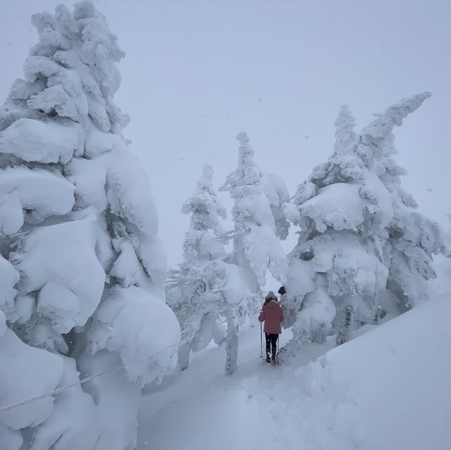 日本三大樹冰觀賞點之一 「森吉山樹冰」