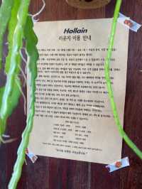 여행자들을 위한 공간 "협재 홀라인"
