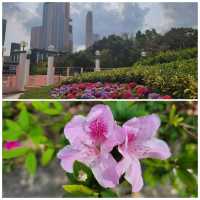 九龍公園😍