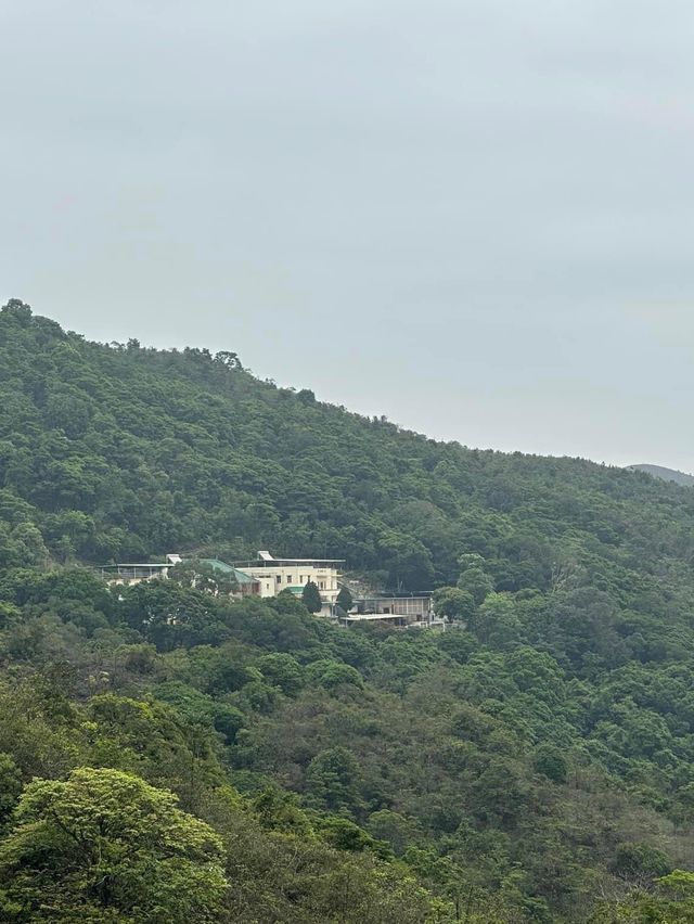 開心行山🏔️