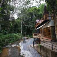  April cottage ดอยแม่กำปอง