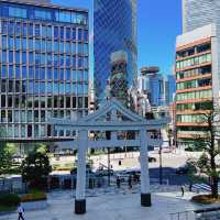 【東京】鳥居とビル街の都会的コントラスト
