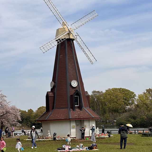 一個好有外國氣息而且好寧靜既賞花公園