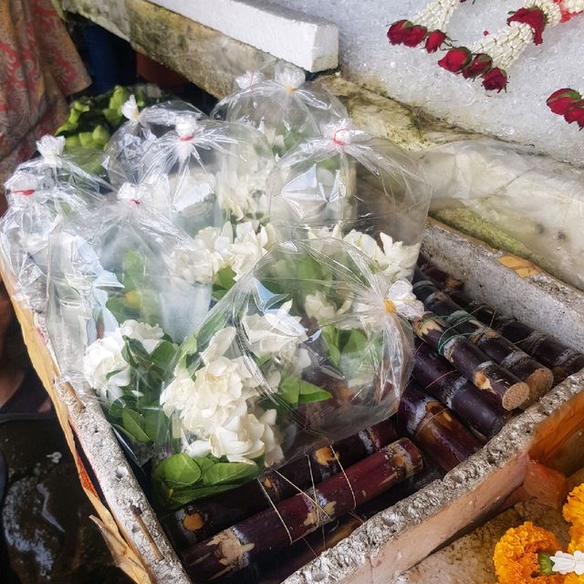 กาดดอกไม้เชียงใหม่ ที่กาดหลวง