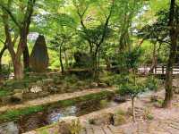 สวนสาธารณะกิฟุ (Gifu Park)🌳🌿