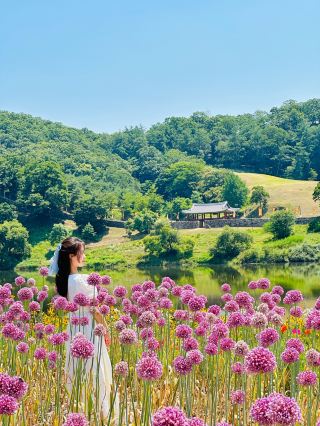 Một thế giới mơ mộng nơi bạn có thể trở thành nhân vật chính trong một câu chuyện cổ tích💜