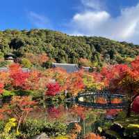 【京都NO.1紅葉🍁スポット、永観堂】
