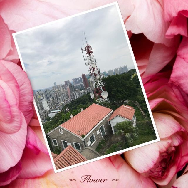 登東望洋塔🗼體驗全澳景色
