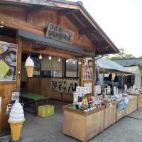 お宿　山翠　付近の朝市を散策